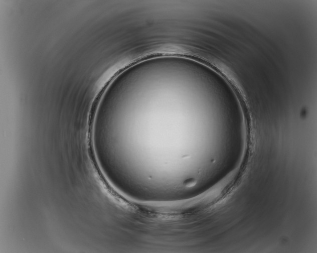 X0000116760845200912241141