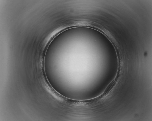 X0000116760846200912241141