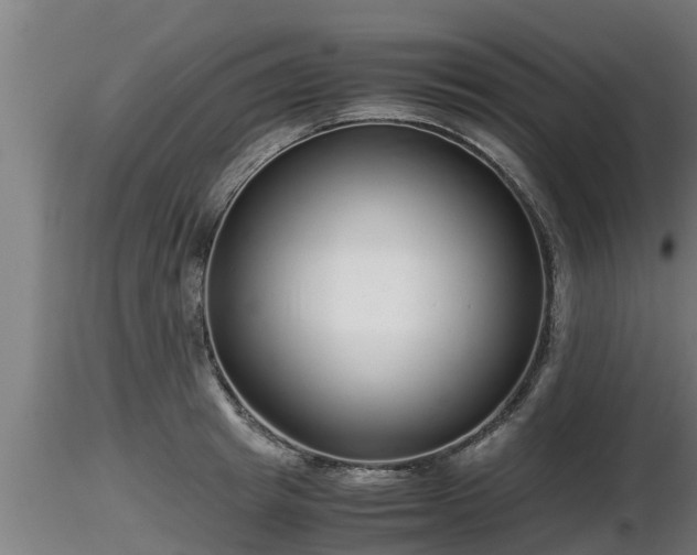 X0000116760849200912241141