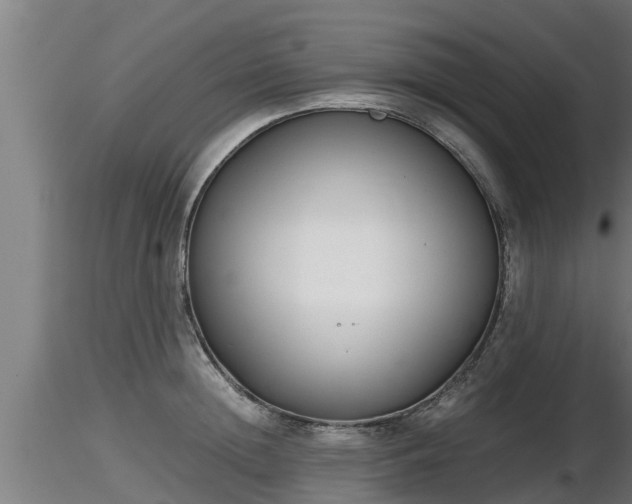 X0000116760852200912241141