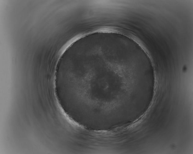 X0000116760853200912241141