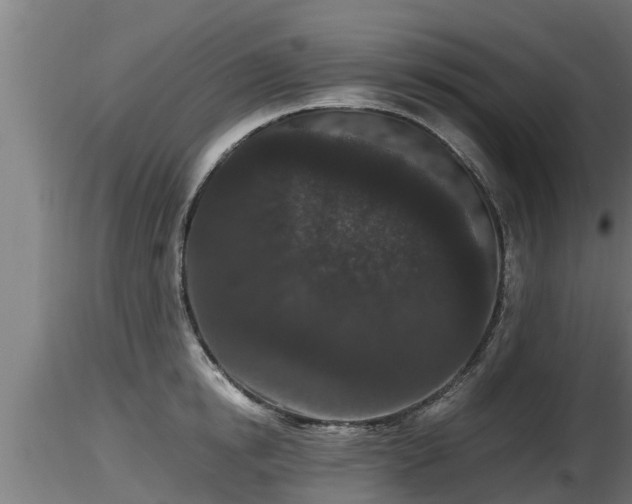 X0000116760854200912241141