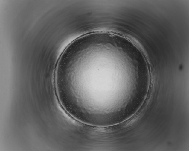 X0000116760855200912241141