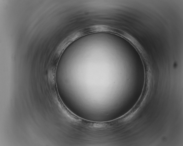 X0000116760857200912241141
