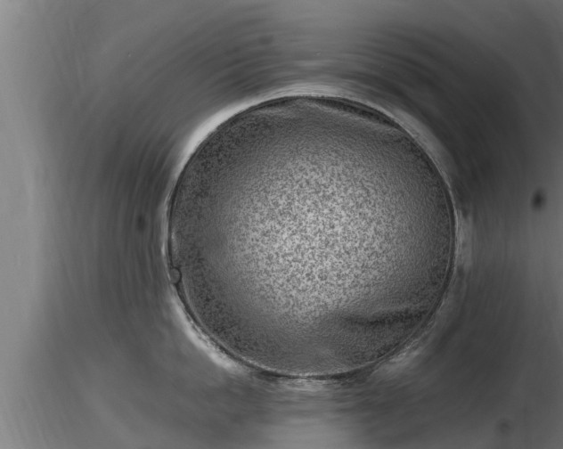 X0000116760862200912241141