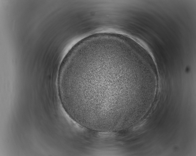 X0000116760863200912241141