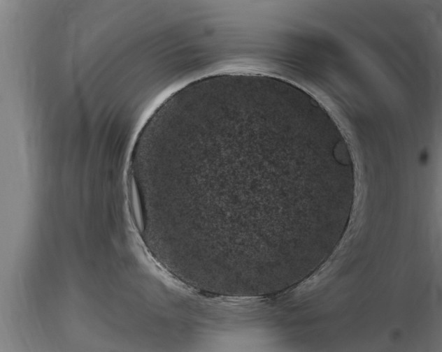 X0000116760864200912241141