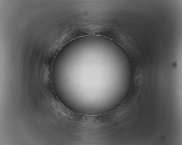 X0000116760866200912241140