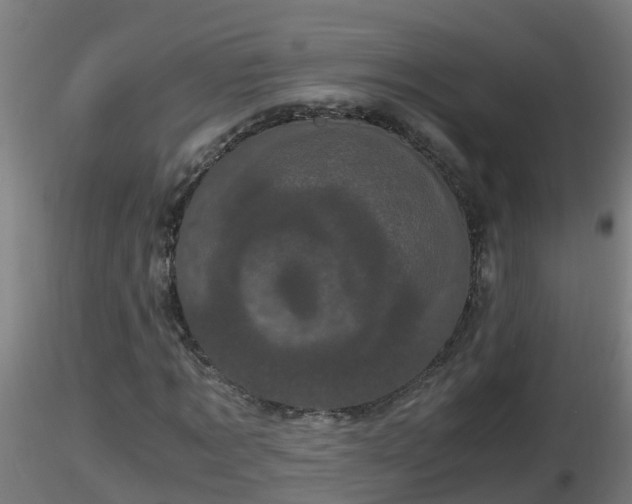 X0000116760869200912241140