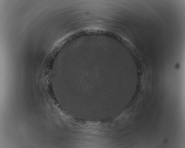 X0000116760870200912241140