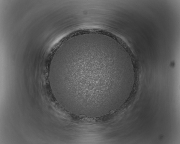 X0000116760871200912241140