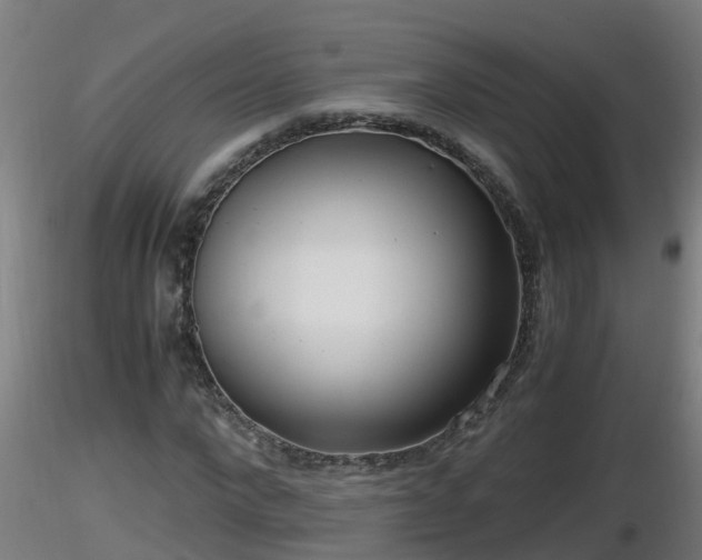 X0000116760872200912241140
