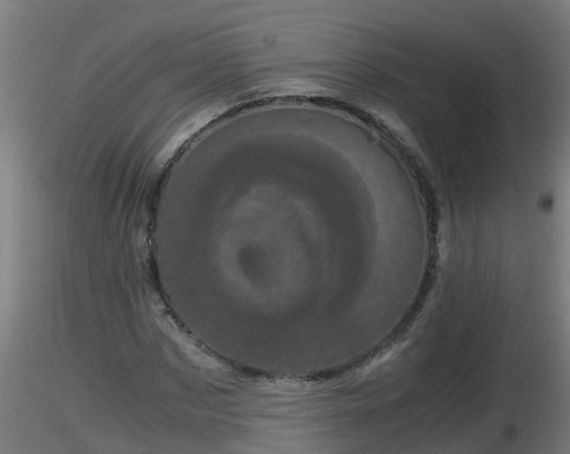 X0000116760873200912241140