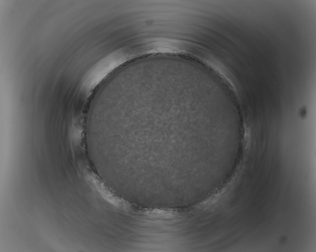 X0000116760874200912241140