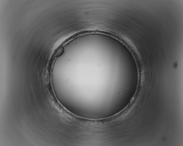 X0000116760876200912241140