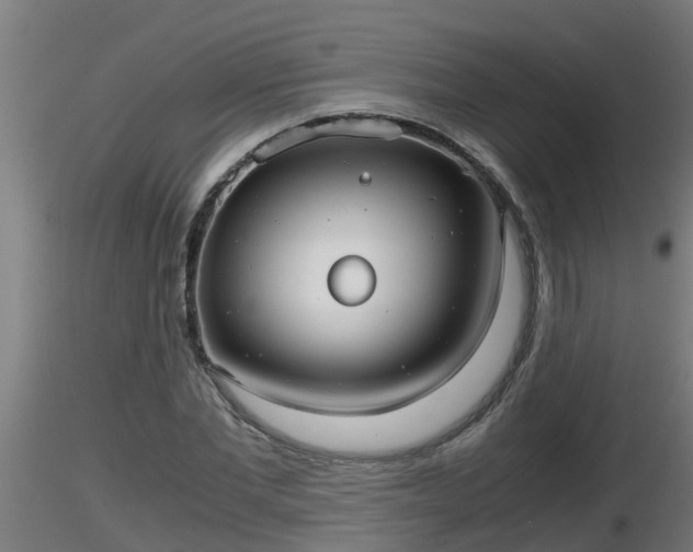 X0000116760877200912241140