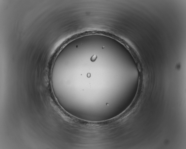 X0000116760878200912241140