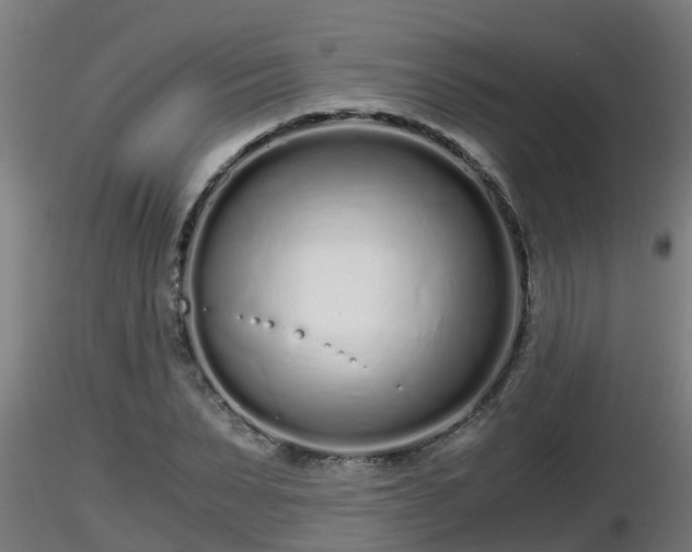 X0000116760879200912241140