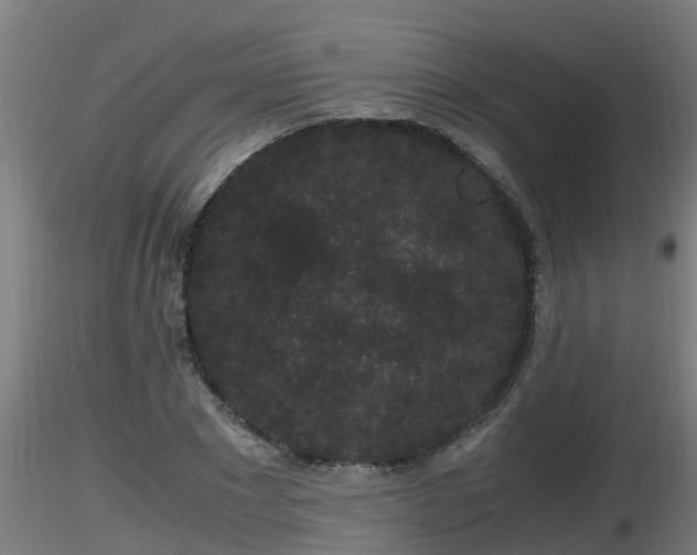 X0000116760881200912241140