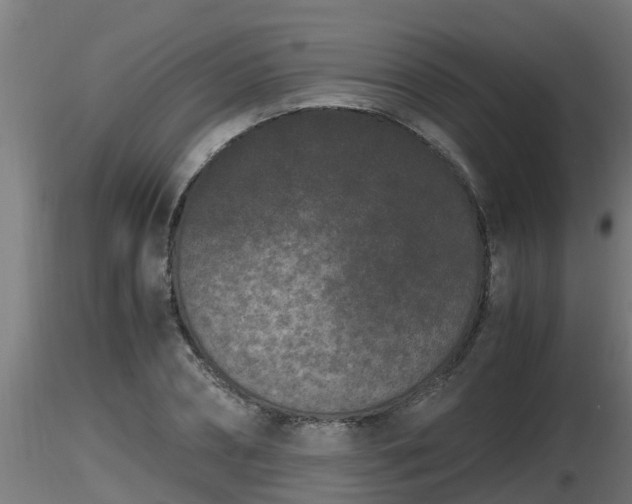 X0000116760882200912241140
