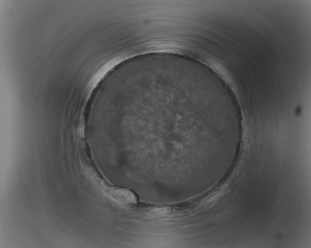 X0000116760883200912241140