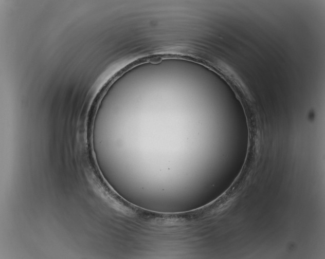 X0000116760884200912241140