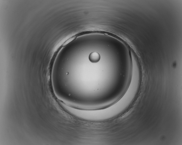 X0000116760885200912241140