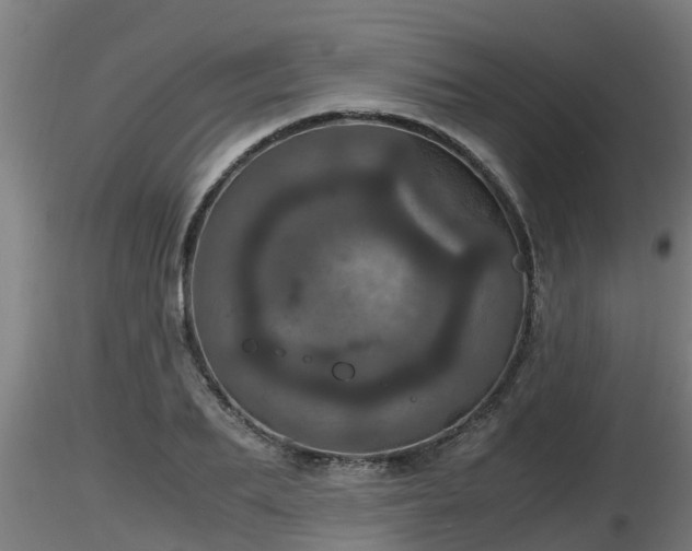 X0000116760887200912241140