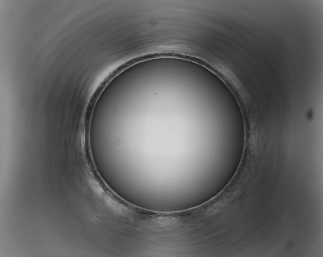 X0000116760888200912241140