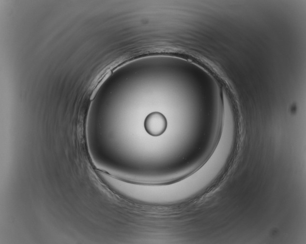 X0000116760889200912241140