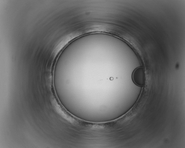 X0000116760890200912241140