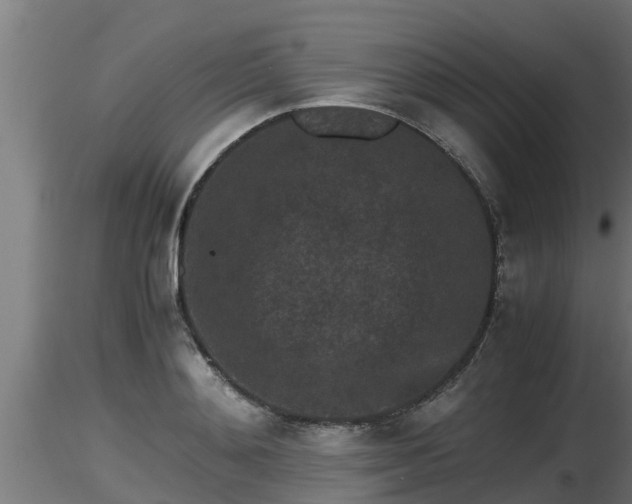 X0000116760892200912241140