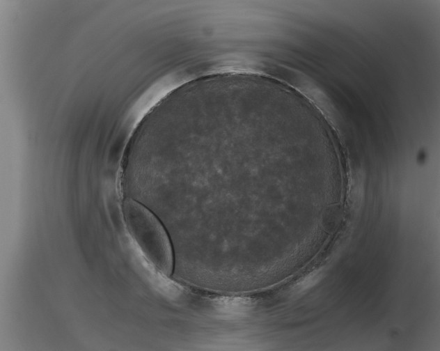 X0000116760893200912241140