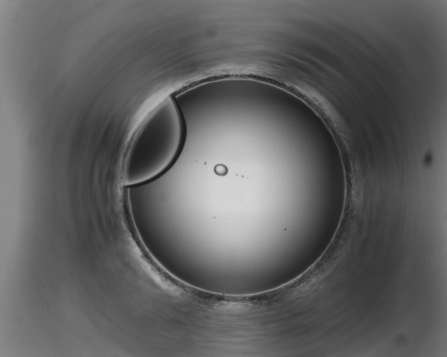 X0000116760894200912241140