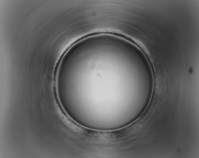X0000116760895200912241140