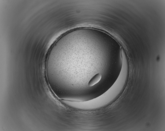 X0000116760896200912241140