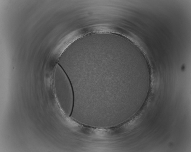 X0000116760897200912241140