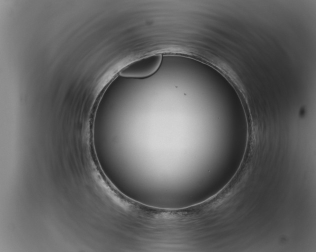X0000116760898200912241140