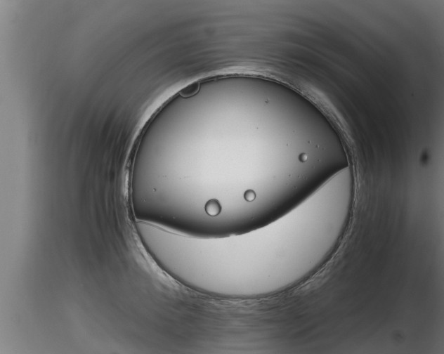 X0000116760900200912241140