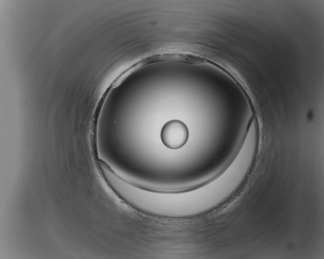 X0000116760901200912241140