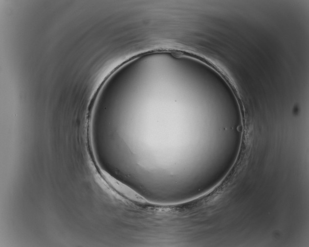 X0000116760903200912241140