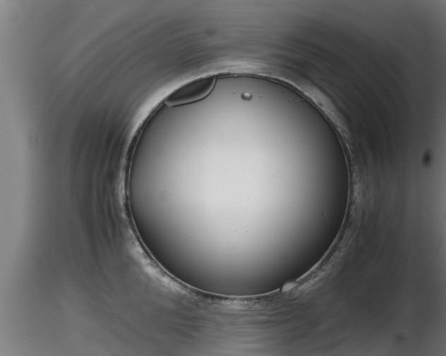 X0000116760904200912241140