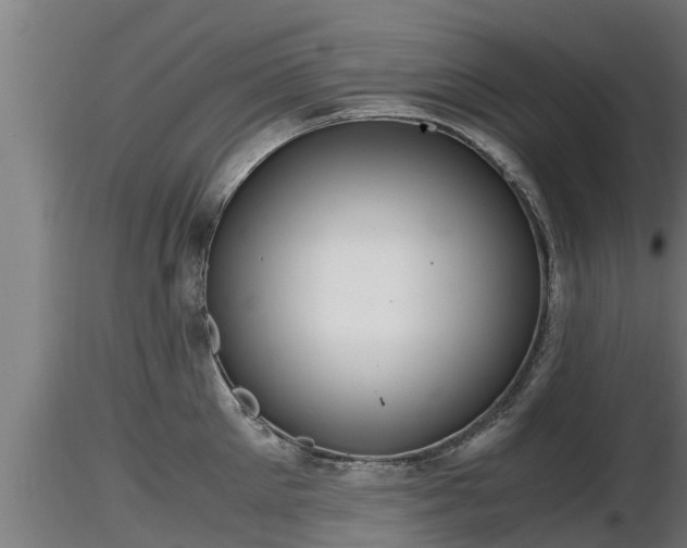 X0000116760905200912241140