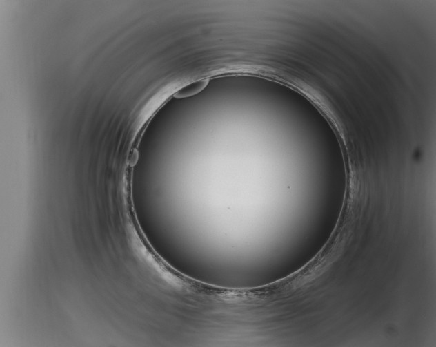 X0000116760906200912241140