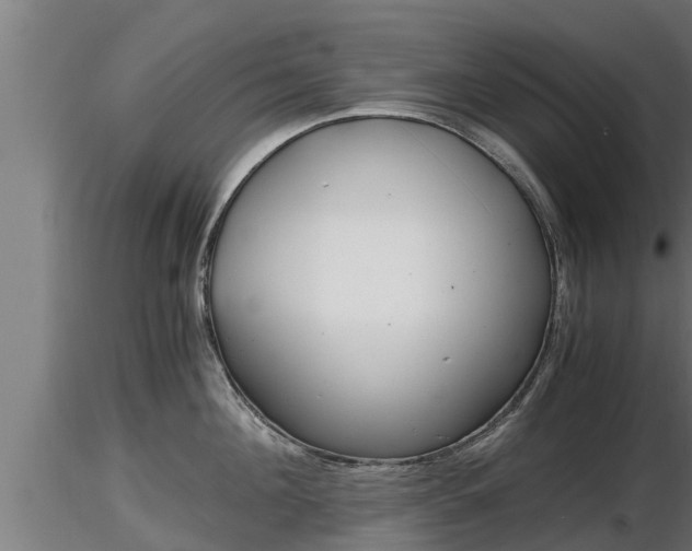 X0000116760908200912241140