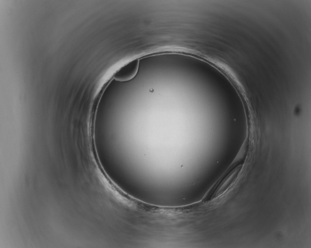 X0000116760910200912241140