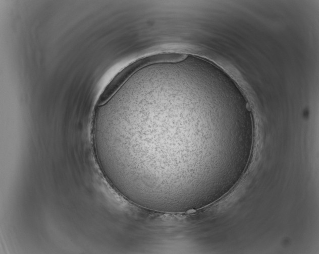 X0000116760912200912241140