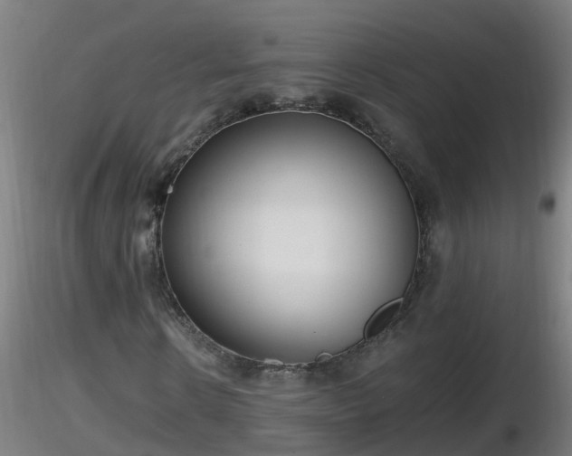 X0000116760914200912241139