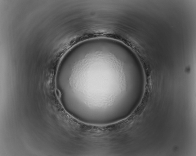 X0000116760917200912241139