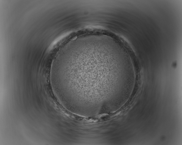X0000116760919200912241139